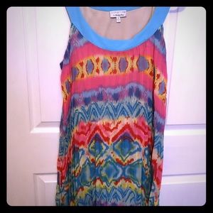 Large Multicolored Dress